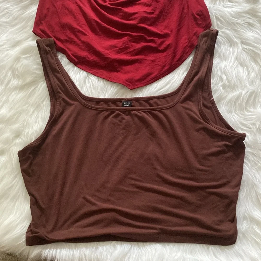 Set of 2 Crop Tops. Burgundy Halter & Brown Tank - Picture 3 of 8
